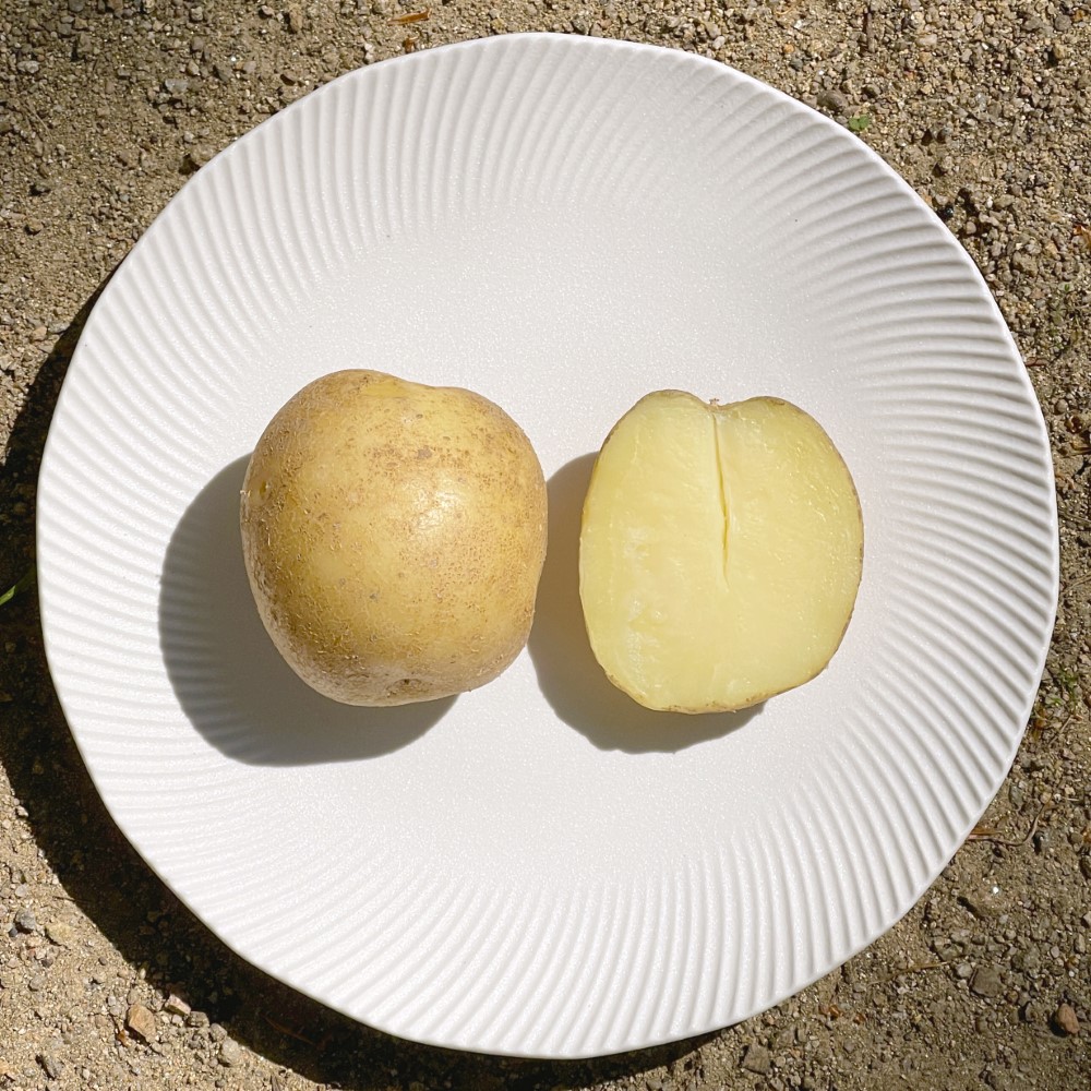 25년 수확 국내산 제철 햇 수미감자 햇감자 중 대 특 왕특 3kg 5kg 10kg