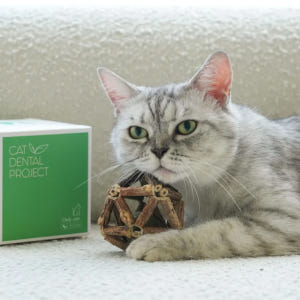 캣디피 캣닢 마따따비 우드볼 CATDP 고양이 장남감 혼자 장난감 캣닢 ... 솔직 후기 | 실제 사용자 리뷰 총정리 - 상품 이미지 3