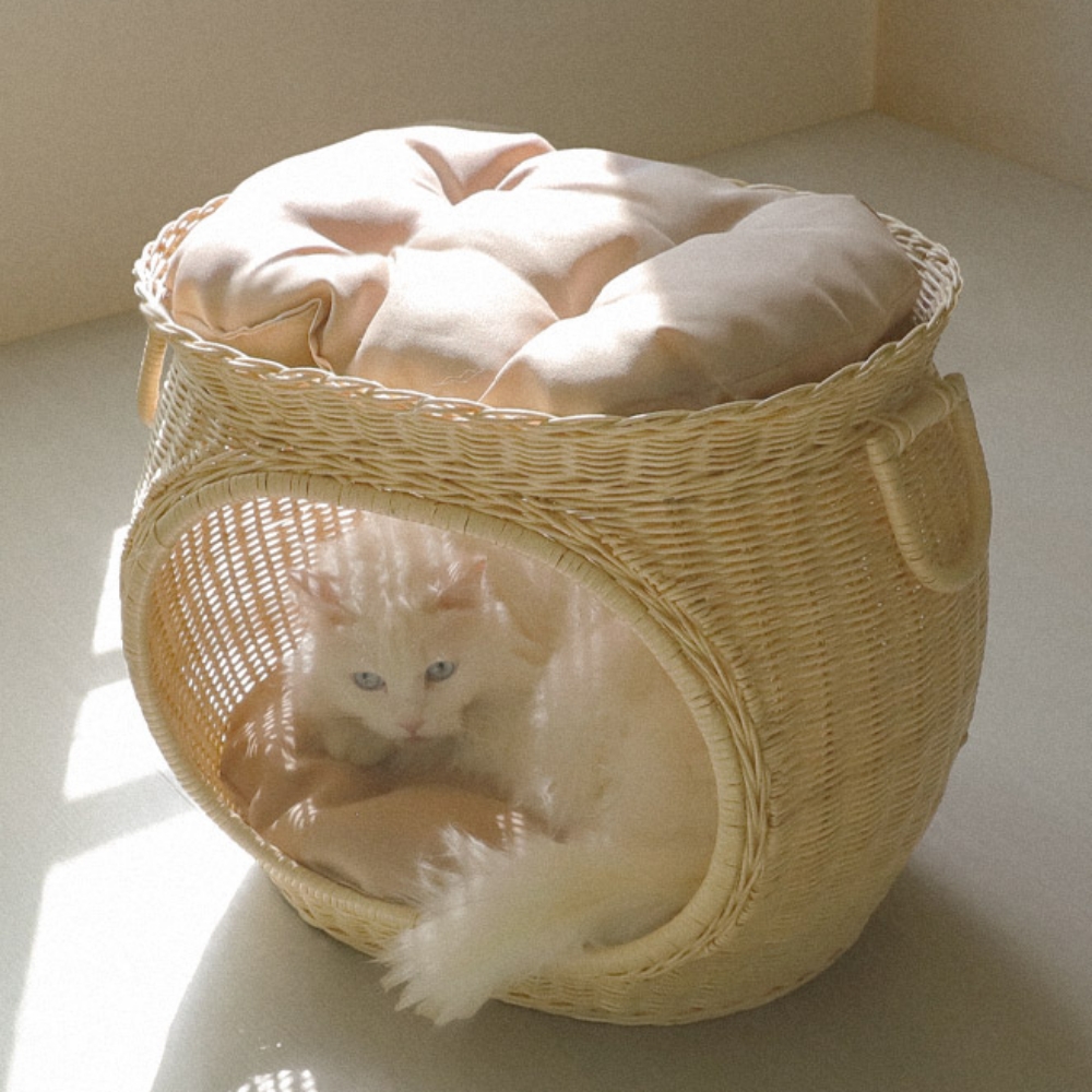 고양이 소쿠리 고양이 원형쿠션 강아지 방석 - 상품 이미지