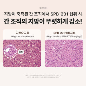 닥터바이 리버 강아지 간 영양제 식욕부진 밀크씨슬 70개입, 1개 솔직 후기 | 실제 사용자 리뷰 총정리 - 상품 이미지 3