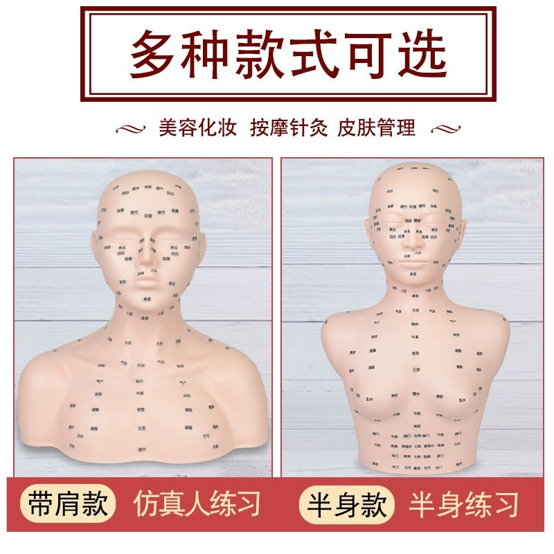 데콜테 관리 머리 마사지 두피마사지 모델 모형 연습용 프로모션 어깨형 소프트 포인트없음 - 상세 이미지 3