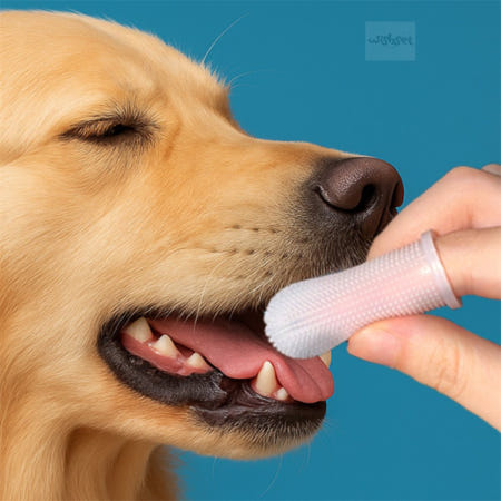 WishSet협력사 애견 손가락 칫솔 (본품만) 부들부들 실리콘 구강관리 강아지 손가락칫솔