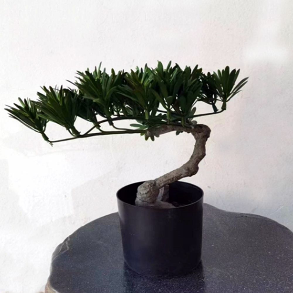 30cm 나한송 조화나무 10P - 상품 이미지