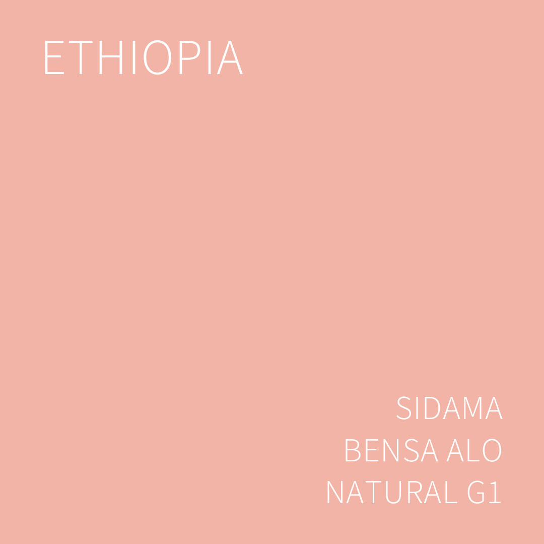 에티오피아 시다마 벤사 알로 내추럴 G1 1KG (ETHIOPIA SIDAMA BENSA ALO NATURAL)