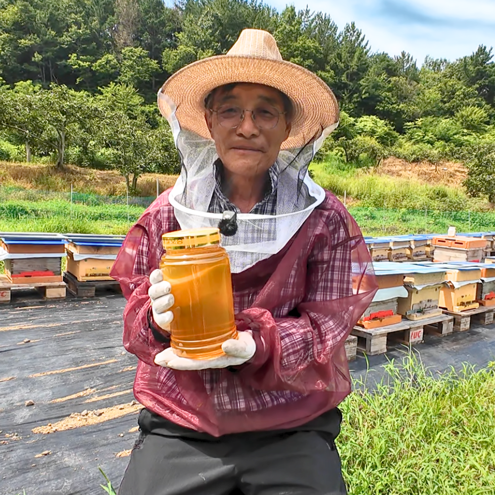 산지한입 천연벌꿀 아카시아꿀 아카시꿀 잡화 야생화 국산 선물 숙성 완숙 진짜 양봉