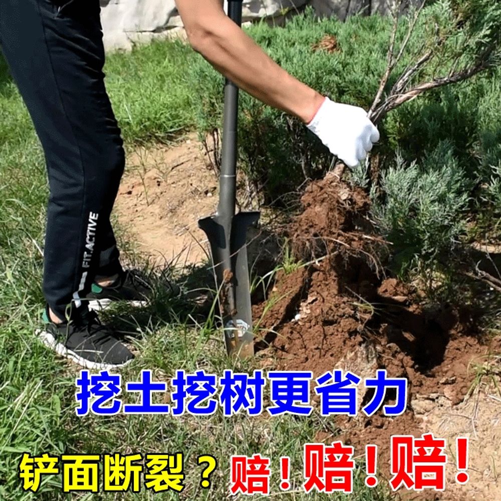 긴삽 모종삽 나무뿌리제거 토굴 제거 텃밭 농기구 묘목 나무 - 상세 이미지 3