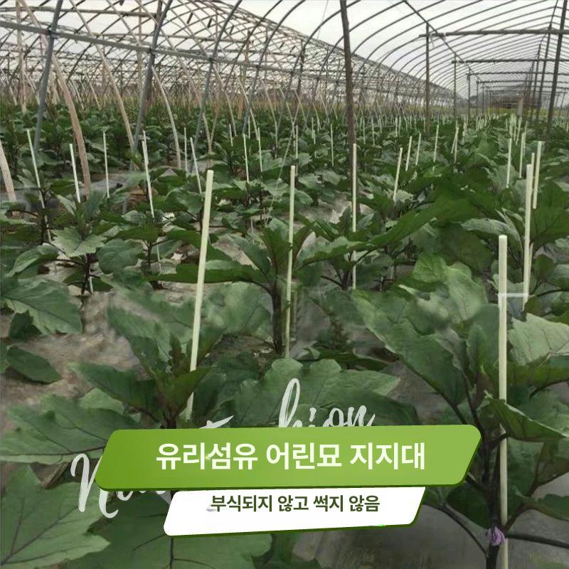 강선활대 100개 파이프 농자재 터널 비닐하우스 와이어 하우스비닐 하우스활대 실험용 8mm 1.5m 20개 - 상세 이미지 4