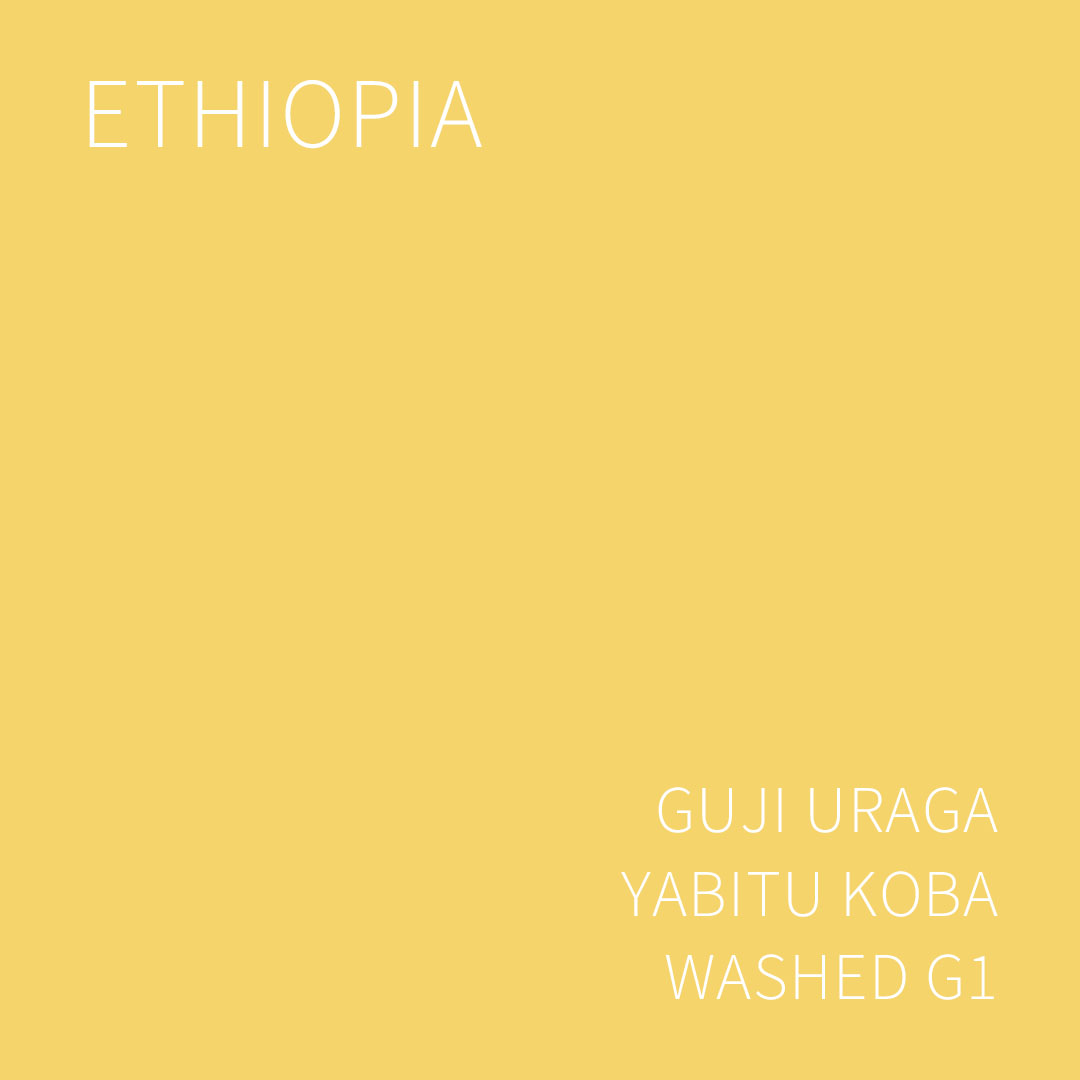 에티오피아 구지 우라가 야비투 코바 워시드 G1 5KG (ETHIOPIA GUJI URAGA YABITU KOBA WASHED)