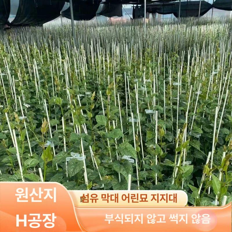 강선활대 100개 파이프 농자재 터널 비닐하우스 와이어 하우스비닐 하우스활대 실험용 8mm 1.5m 20개 - 상세 이미지 3