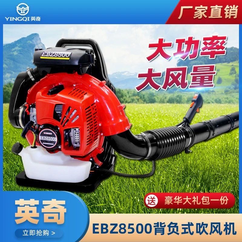 산업용송풍기 4행정 집진기 블로워 제설 청소 배낭 블루 EB260 헤어드라이어+선물 가방+엔진 - 상세 이미지 5