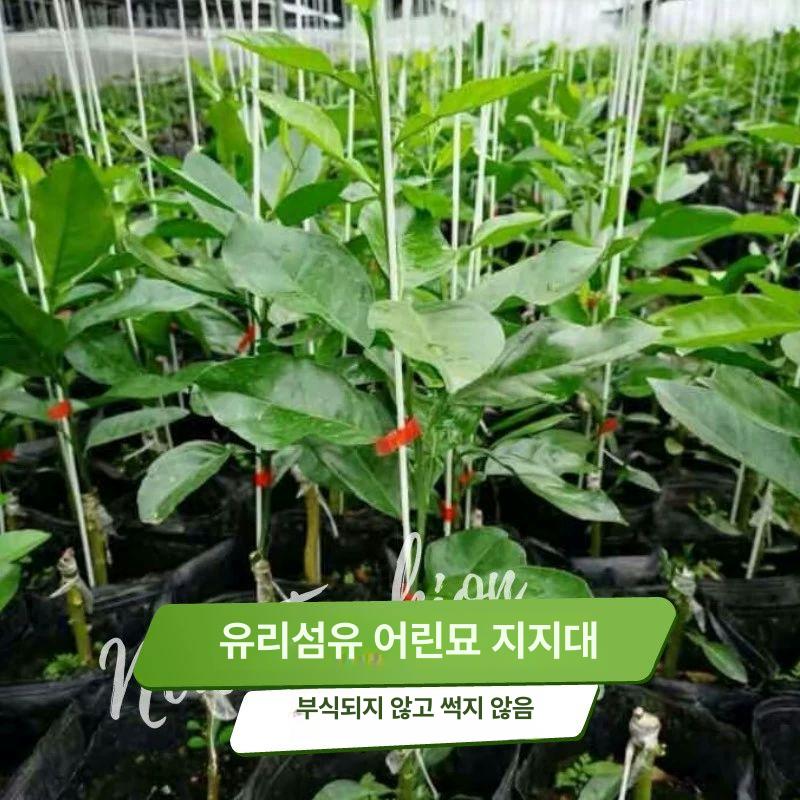 강선활대 100개 파이프 농자재 터널 비닐하우스 와이어 하우스비닐 하우스활대 실험용 8mm 1.5m 20개 - 상세 이미지 2