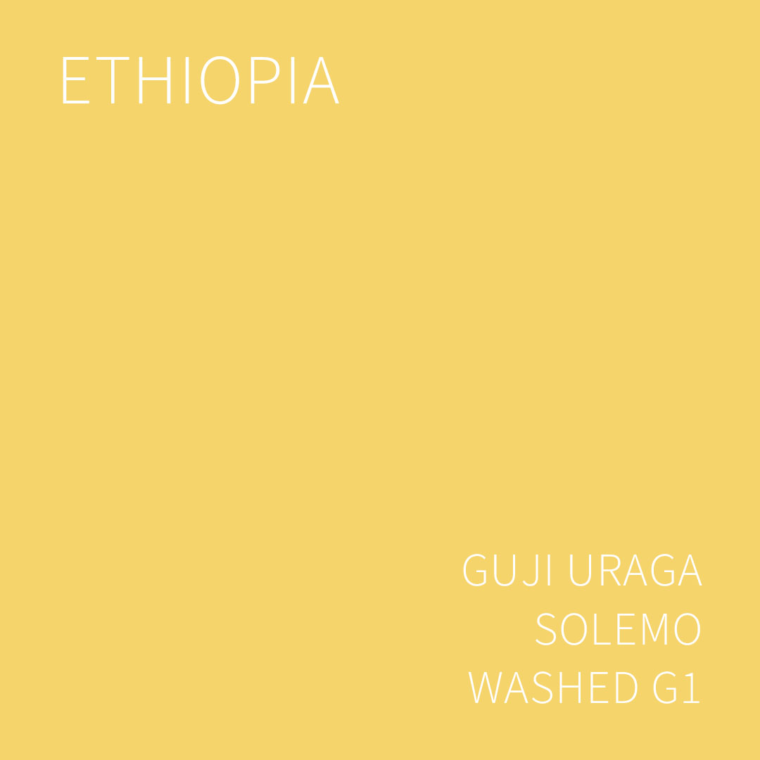 에티오피아 구지 우라가 솔레모 워시드 G1 5KG (ETHIOPIA GUJI URAGA SOLEMO WASHED)