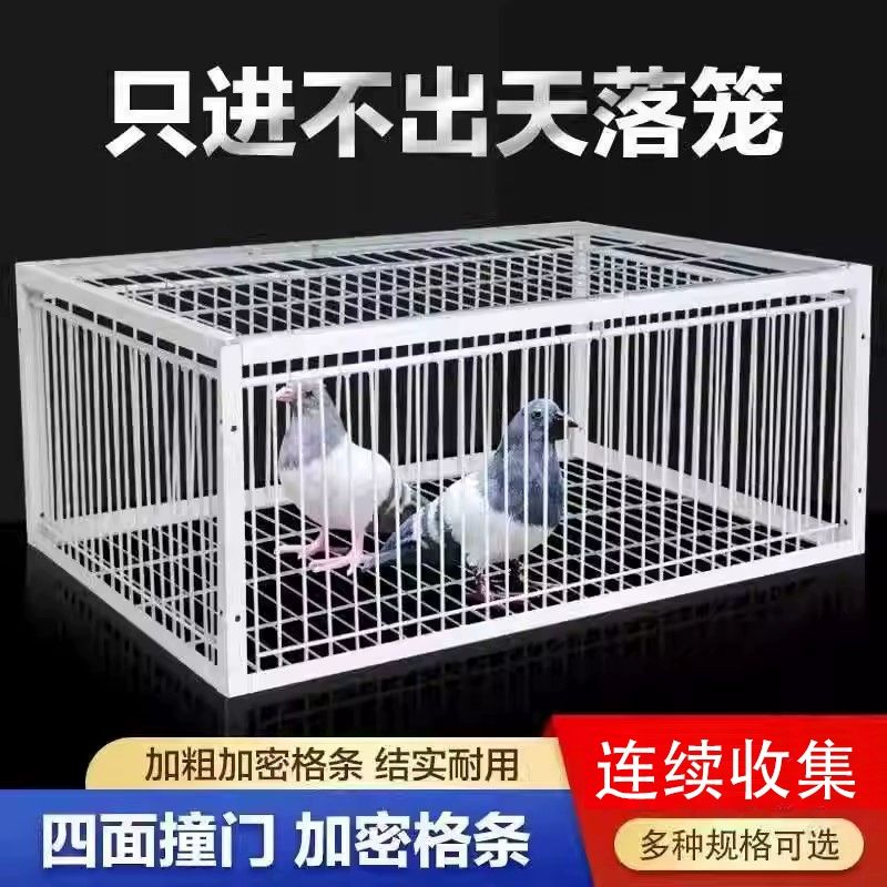 조류포획 트랩 새덫 까치 꿩 참새 포획틀 야생 새장 신상 망 2cm 40x30x26 1입구 - 상세 이미지 2