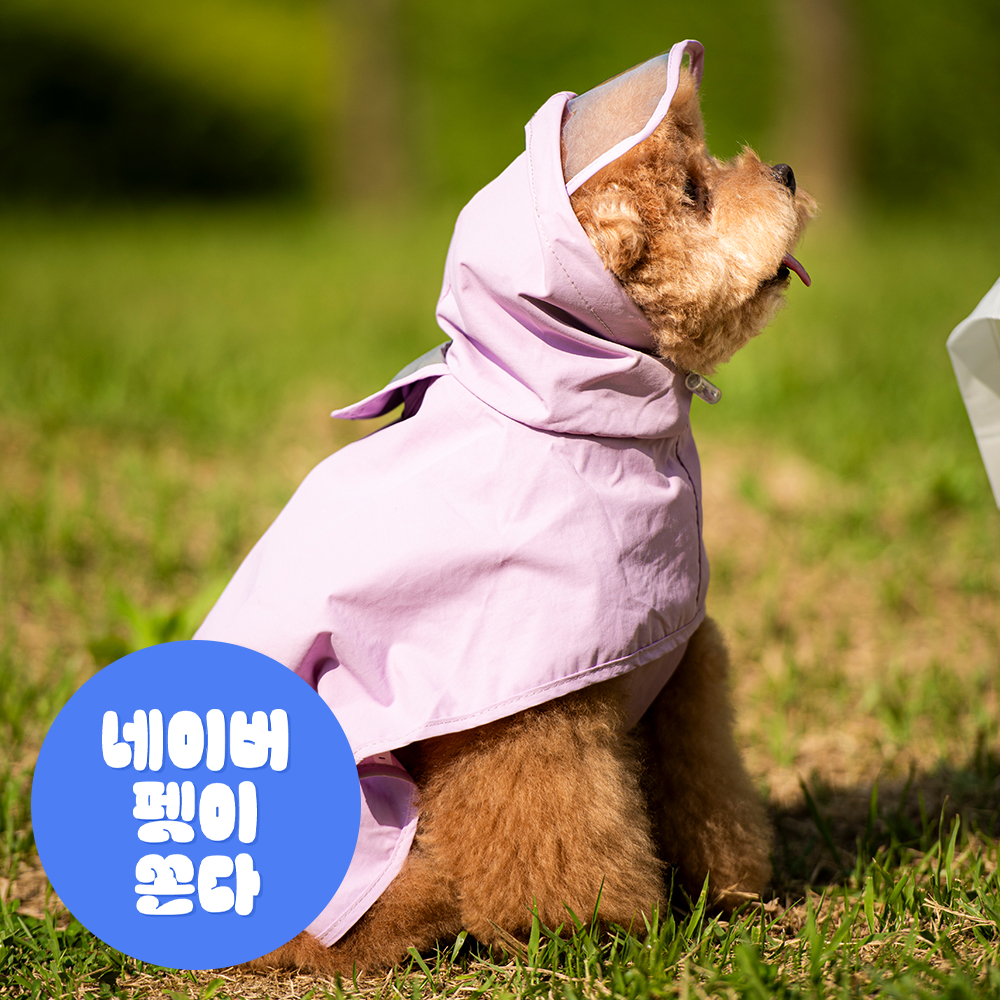 펫트리움 강아지 우비 일체형 레인코트 애견 판초 M