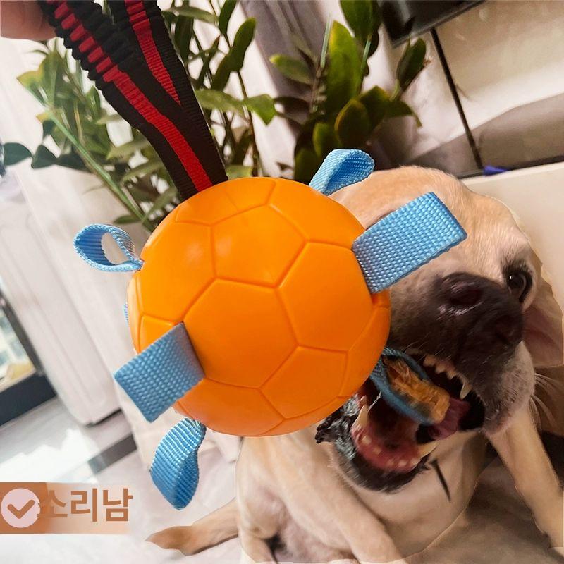 강아지 장난감 놀이기구 터지지않는 축구공 안터지는 연습 애완견 놀이 오렌지 - 상세 이미지 3