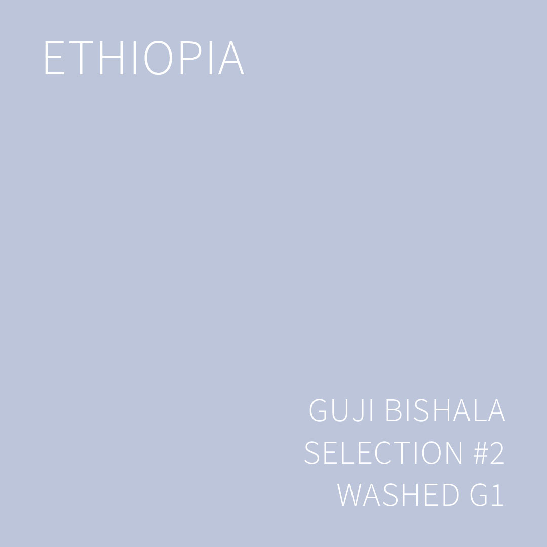 에티오피아 구지 비샬라 셀렉션 #2 워시드 G1 1KG (ETHIOPIA GUJI BISHALA SELECTION #2 WASHED)