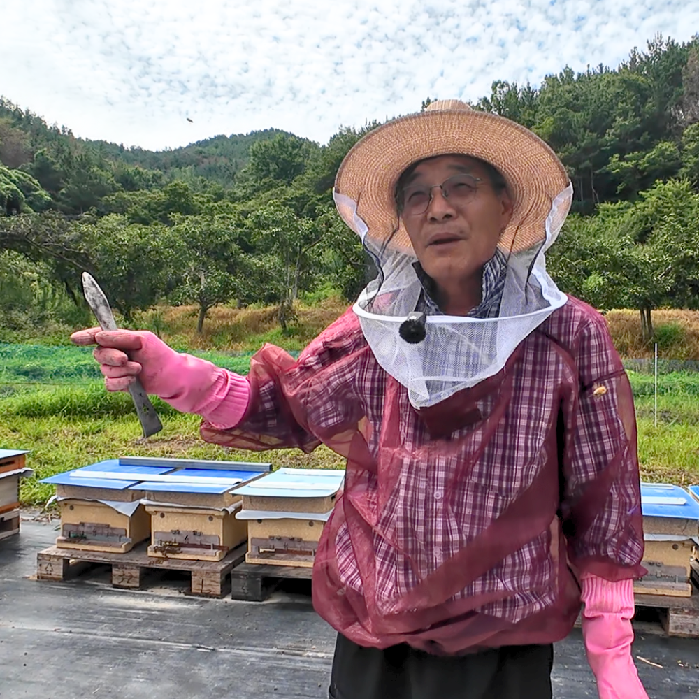 산지한입 천연벌꿀 아카시아꿀 아카시꿀 잡화 야생화 국산 선물 숙성 완숙 진짜 양봉 이미지 4