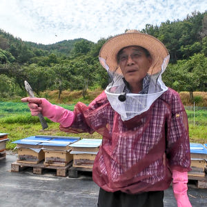 산지한입 천연벌꿀 아카시아꿀 아카시꿀 잡화 야생화 국산 선물 숙성 완숙 ... 맛있게 먹은 솔직 후기 - 상품 이미지 4