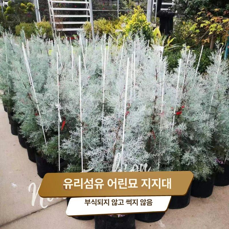 강선활대 100개 파이프 농자재 터널 비닐하우스 와이어 하우스비닐 하우스활대 실험용 8mm 1.5m 20개 - 상세 이미지 5