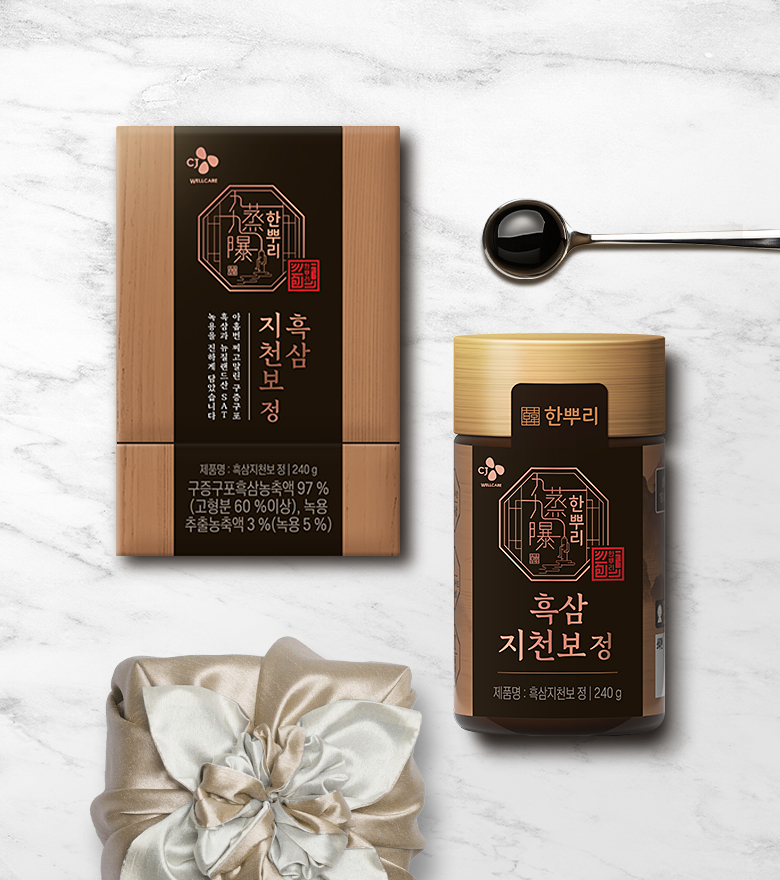 CJ웰케어 한뿌리 흑삼지천보 정 240g