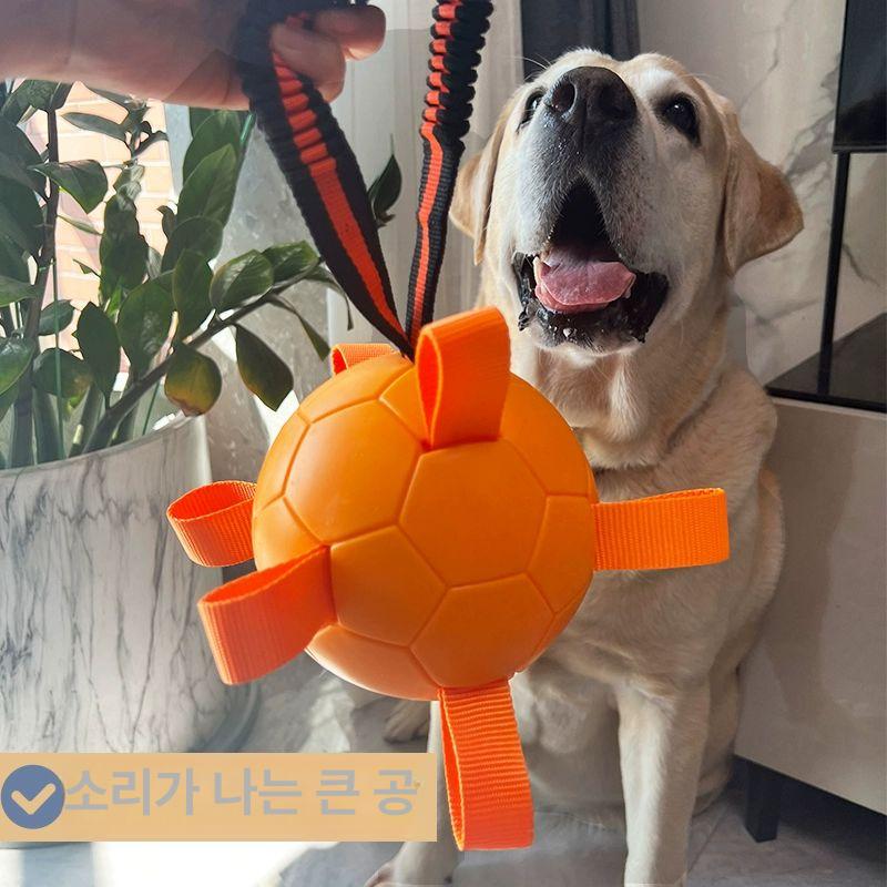 강아지 장난감 놀이기구 터지지않는 축구공 안터지는 연습 애완견 놀이 오렌지 - 상세 이미지 2