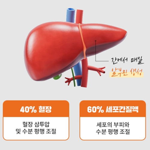 일진헬스케어 프리미엄 액상 알부민 진액 스틱 15g 30포 6박스 발효 녹용 실크펩타이드 이미지 7
