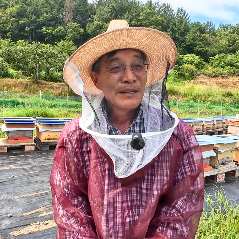 산지한입 천연벌꿀 아카시아꿀 아카시꿀 잡화 야생화 국산 선물 숙성 완숙 진짜 양봉 이미지 2