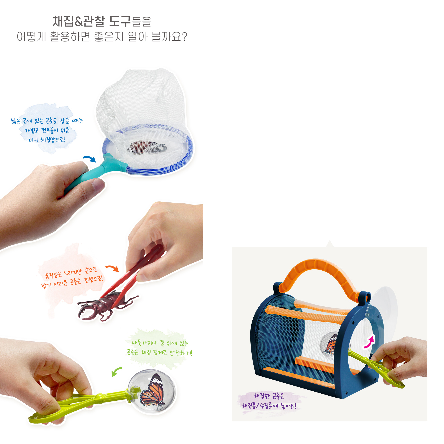 관찰세트 곤충박사 채집통 확대경 사슴벌레 장수풍뎅이 곤충피규어 유아 자연 탐험 이미지 8