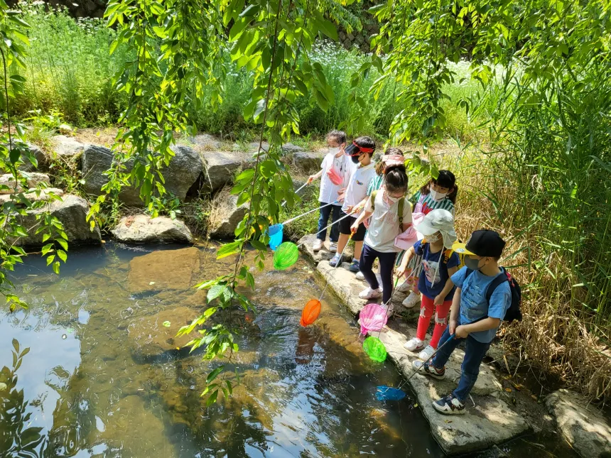 [프라이빗] 행복한숲학교 원데이 우리끼리 숲체험 | 5~7세 by 행복숲 나리샘 - 상세 이미지 3