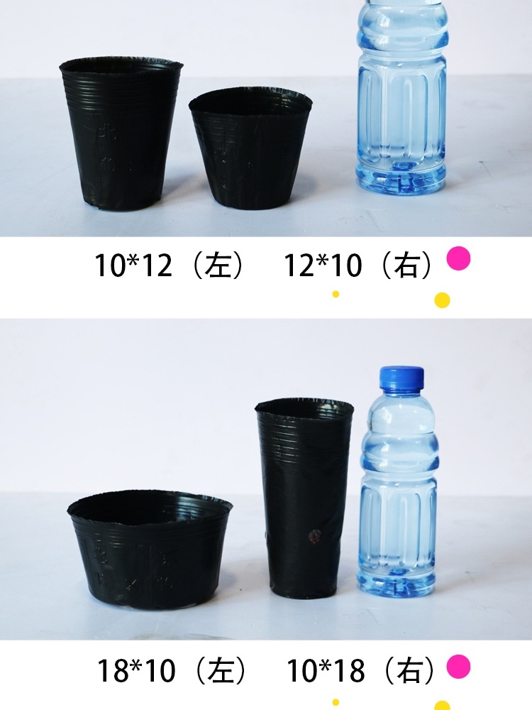 비닐폿트 검정 분갈이 플라스틱화분 폿트 삽목 높이 구경 흙 텃밭 - 상세 이미지 4