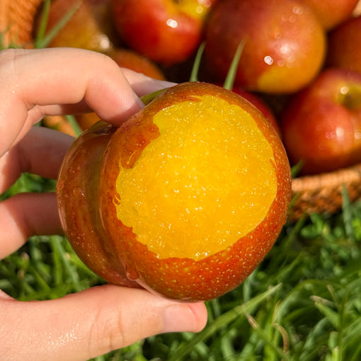 thumbnail-4