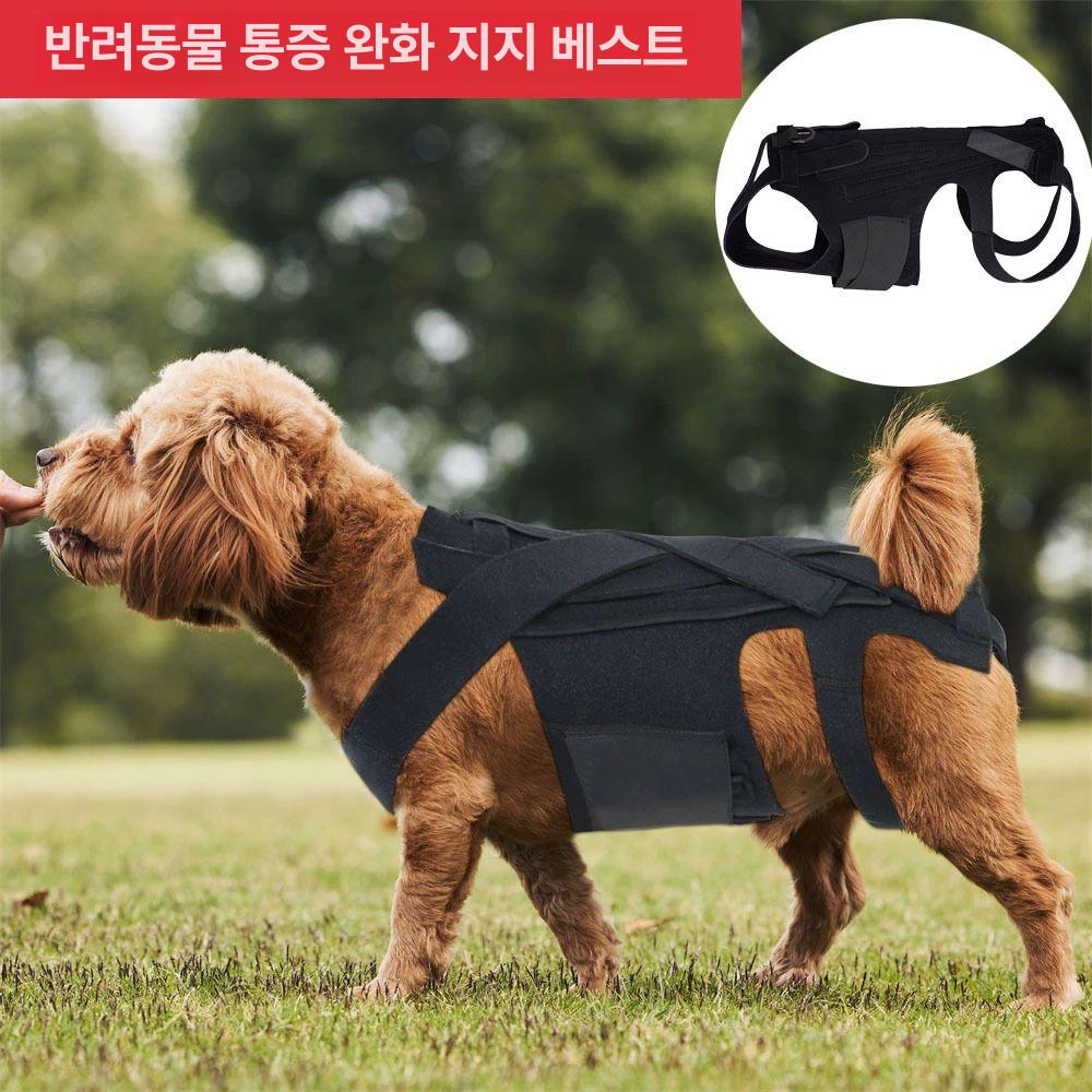 강아지 척추 보조기 뒷다리 매쉬 하네스 보행기 고정 강아지하네스 블랙 개 통증 완화 S-소형 - 상세 이미지 3