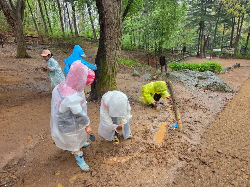 [우장산] 행복한숲학교 원데이 어린이 숲체험 by 행복한숲학교 이미지 4