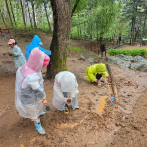 [우장산] 행복한숲학교 원데이 어린이 숲체험 by 행복한숲학교 솔직 후기 | 실사용자 리뷰 분석 - 상품 이미지 4