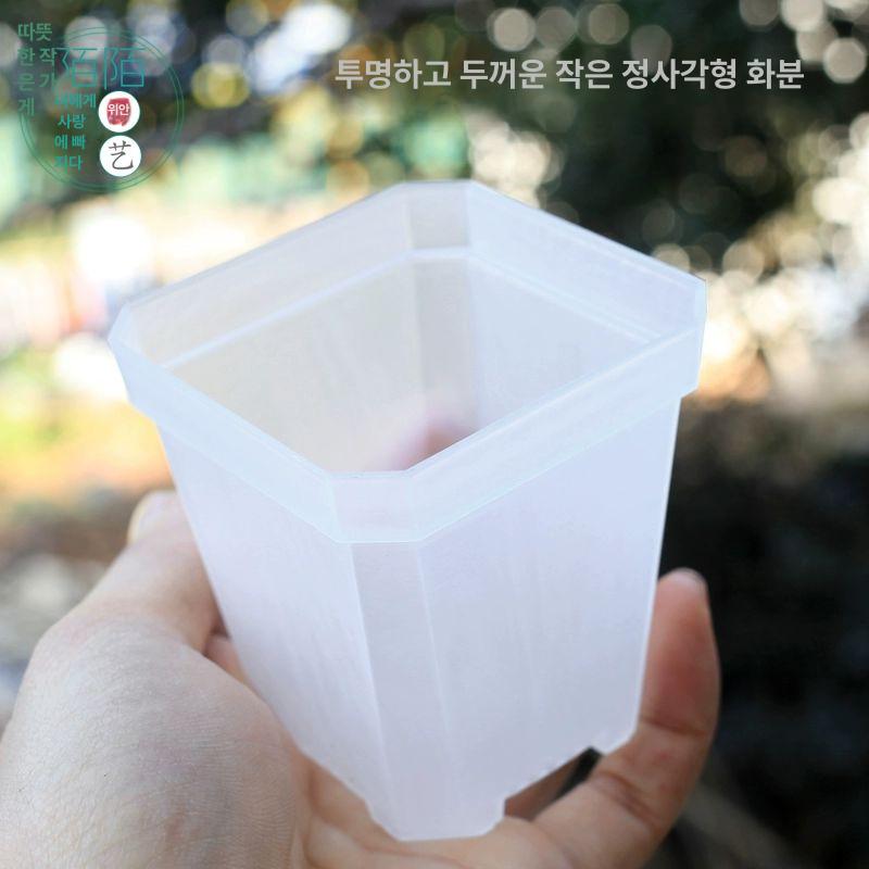 삽목트레이 12구 모종박스 삽목상자 모종트레이 원예 화분 12개 흰색 브라켓+12개의 3세트 플라스틱 중간 - 상세 이미지 3