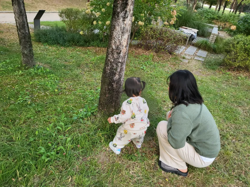 [난지유아숲체험장] 11/1(토) 단 하루 특가 진행! 엄마와 함께 숲체험 by 행복숲 나리샘 - 상세 이미지 3
