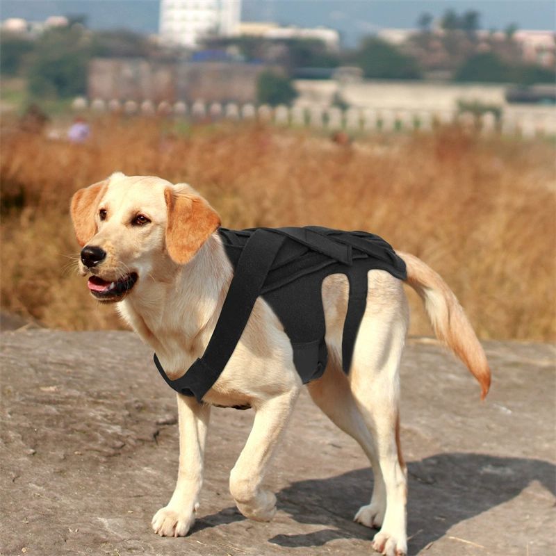 강아지 척추 보조기 뒷다리 매쉬 하네스 보행기 고정 강아지하네스 블랙 개 통증 완화 S-소형 - 상세 이미지 5