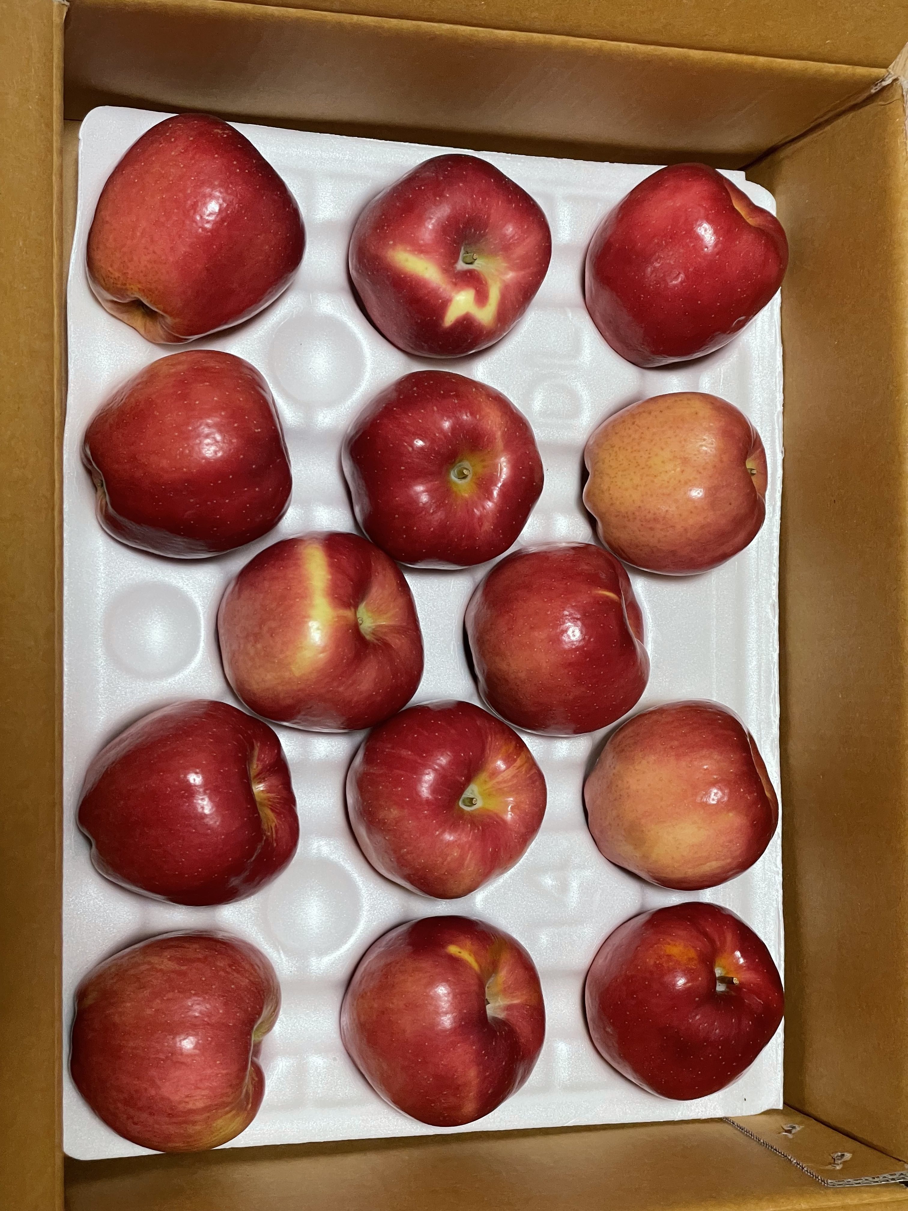중소과 경북 빨간 부사 사과 12.8Brix, 3kg, 1개 - 상세 이미지 4