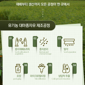 심플리잇 유기농 대마종자유 1000 냉압착 엑스트라버진 100% 식물성 ... 맛있게 먹은 솔직 후기 - 상품 이미지 2