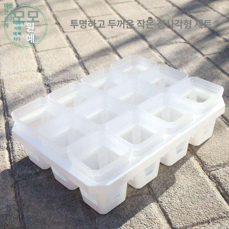 삽목트레이 12구 모종박스 삽목상자 모종트레이 원예 화분 12개 흰색 브라켓+12개의 3세트 플라스틱 중간 - 상세 이미지 2