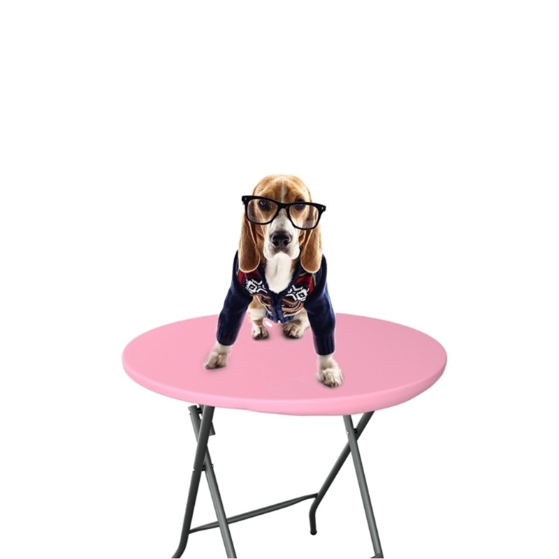 반려동물 접이식 미용테이블 강아지 고양이 휴대용 방수 미용대 소형견 애견 미용용품 파란색 접이식 - 상세 이미지 3
