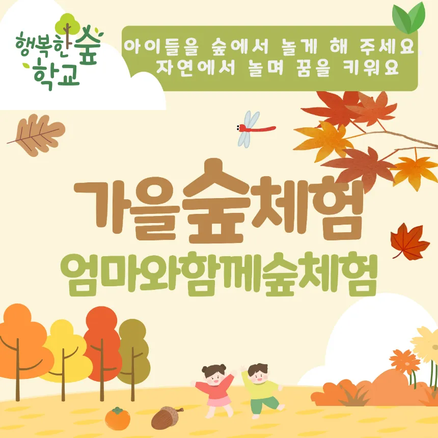 [난지유아숲체험장] 11/1(토) 단 하루 특가 진행! 엄마와 함께 숲체험 by 행복숲 나리샘 - 상품 이미지