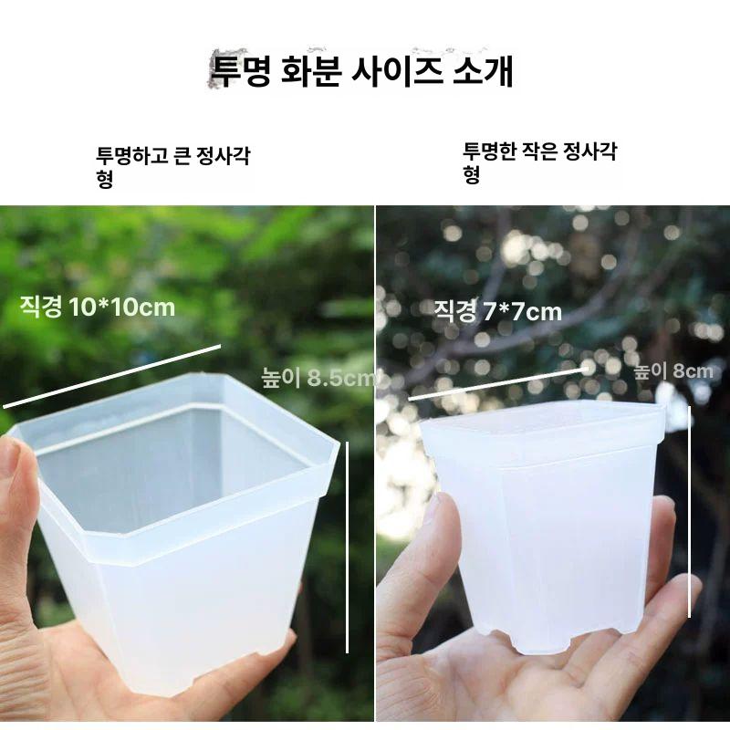 삽목트레이 12구 모종박스 삽목상자 모종트레이 원예 화분 12개 흰색 브라켓+12개의 3세트 플라스틱 중간 - 상세 이미지 4