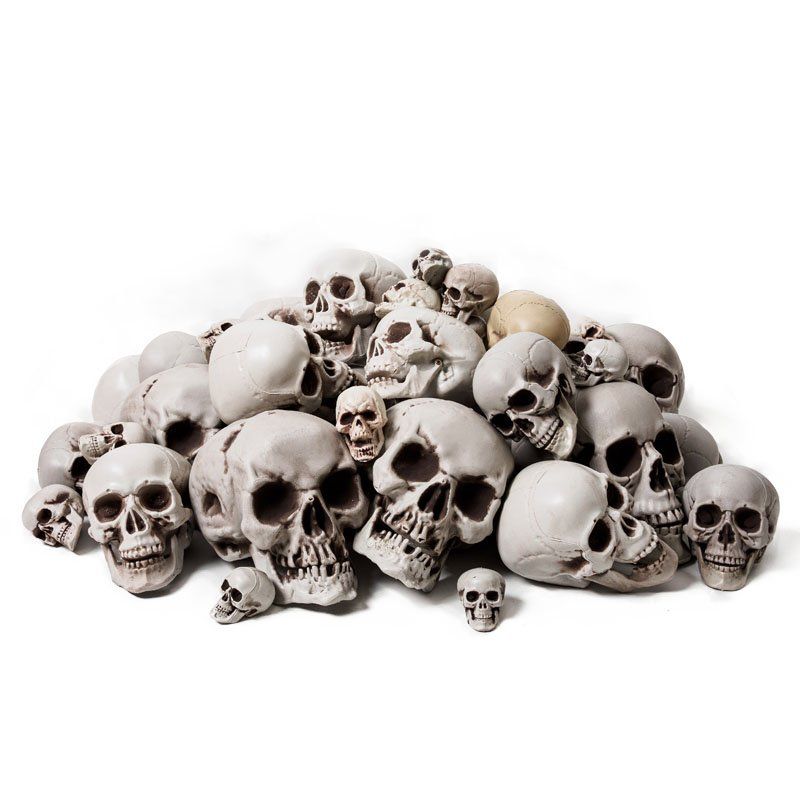 해골 두개골 소품 할로윈 모델 장식품 장식 머리 뼈 모형 인테리어 - 상품 이미지