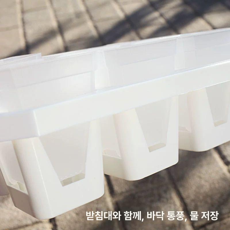 삽목트레이 12구 모종박스 삽목상자 모종트레이 원예 화분 12개 흰색 브라켓+12개의 3세트 플라스틱 중간 - 상세 이미지 5