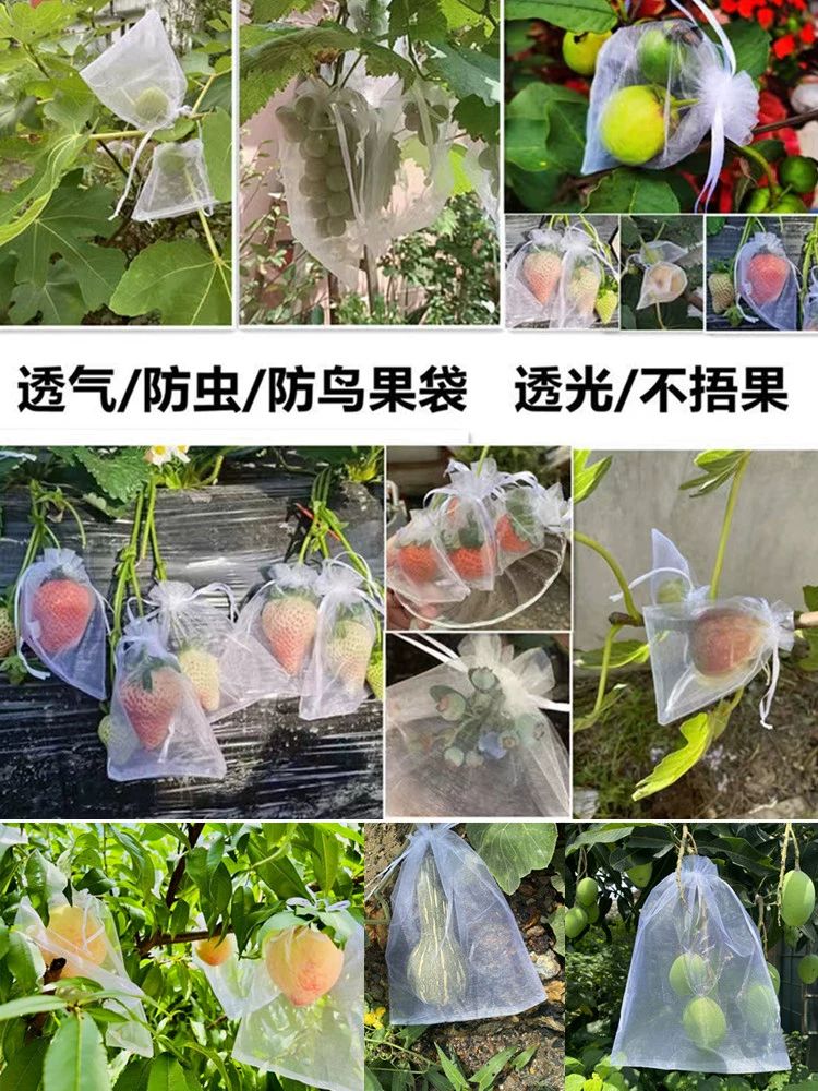 과수원 과일싸개 그물 봉지 사과 보호망 포도 과일 소형 방조망 10개 9x높이 12cm - 상세 이미지 2