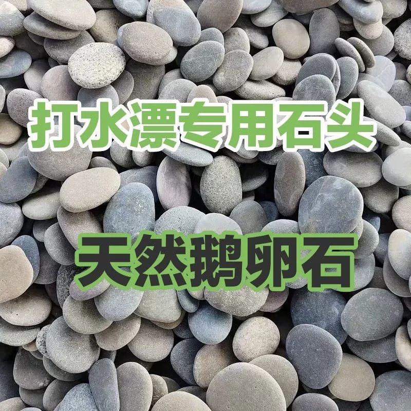 물수제비 전용 돌 조경 바위 강자갈 물수제비돌 납작한 S50-3-5cm 물 세척 1.5kg 3-5cm 물방울 전용 1.5kg - 상세 이미지 2