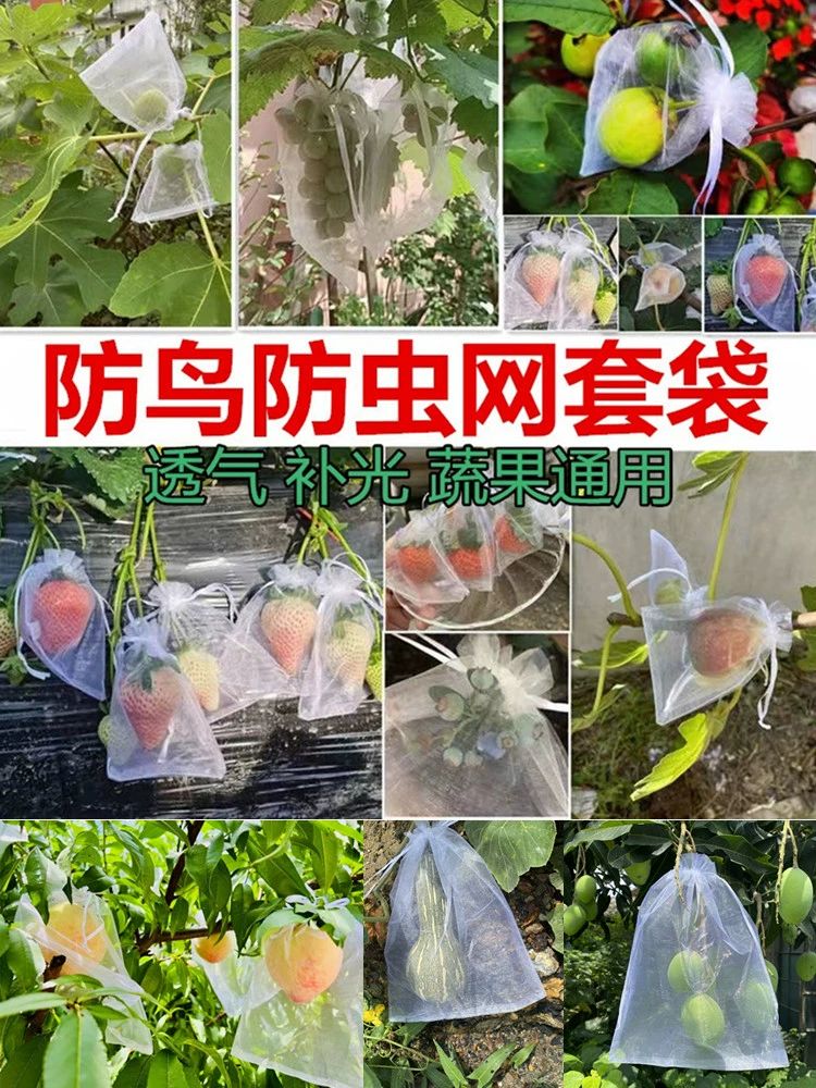 과수원 과일싸개 그물 봉지 사과 보호망 포도 과일 소형 방조망 10개 9x높이 12cm - 상세 이미지 3