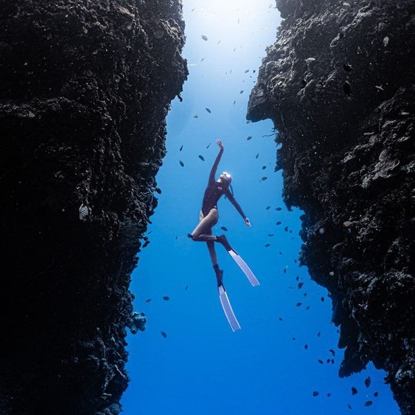 보홀 나팔링투어 스노클링 단독 액티비티 정어리떼 동남아 자유여행 럭키호핑 이미지 3