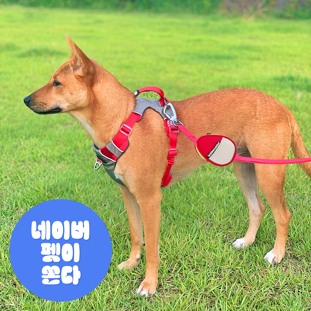 강아지 하네스 대형견하네스 앞섬방지 가슴줄 중형견 H형 진돗개 S